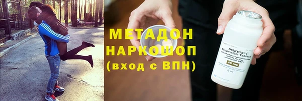 стаф Алзамай