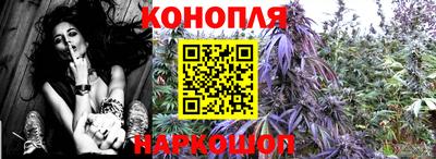 прущая мука Кимры