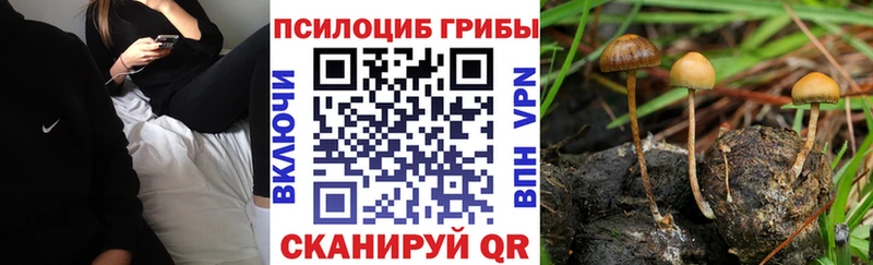 продажа наркотиков  Рассказово  Галлюциногенные грибы мухоморы 