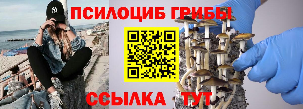 Псилоцибиновые грибы прущие грибы  Вход с VPN  Рассказово 