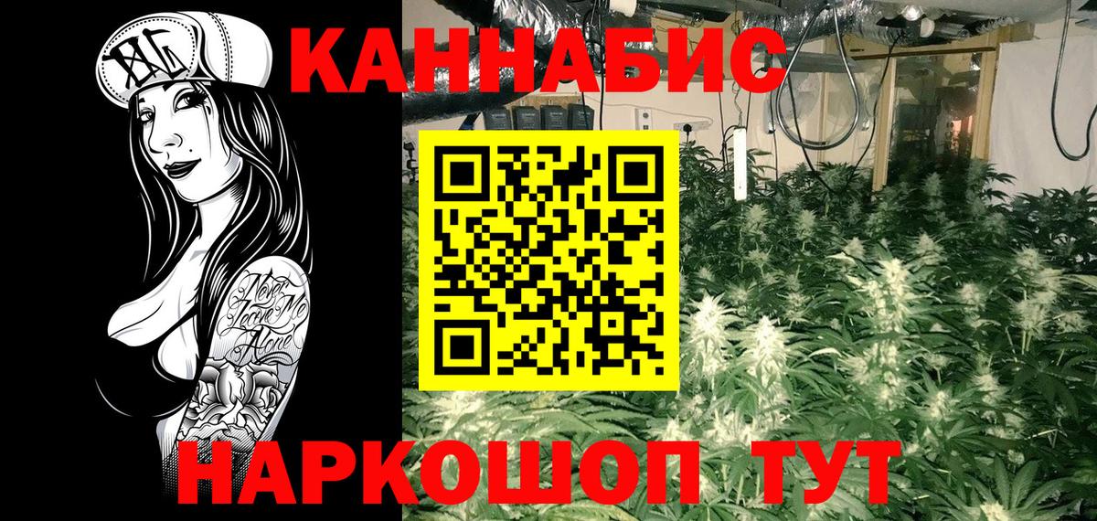 Бошки марихуана ГИДРОПОН Рассказово